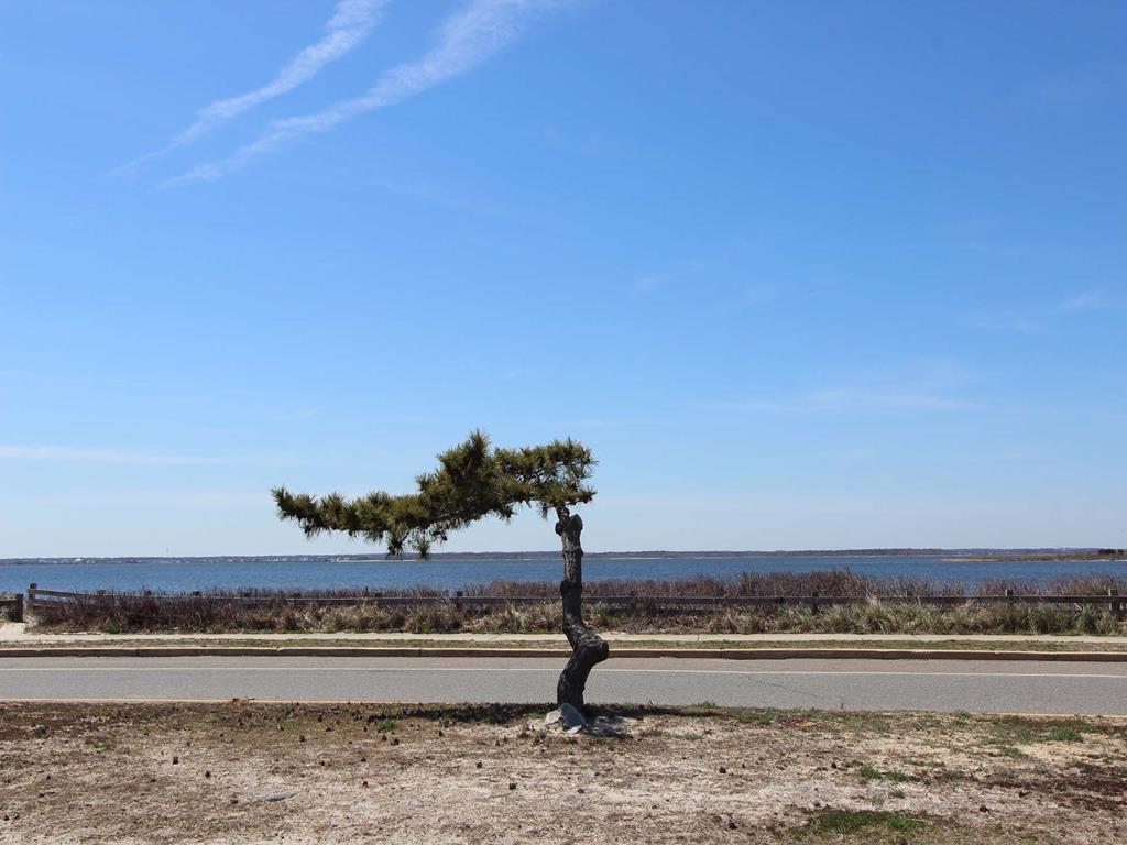 Lavallette NJ  Bayside Vacation Rental 143155